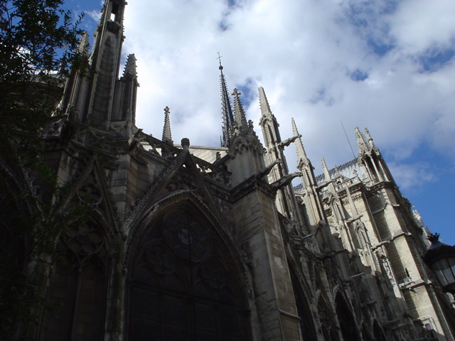 DSC03450.JPG