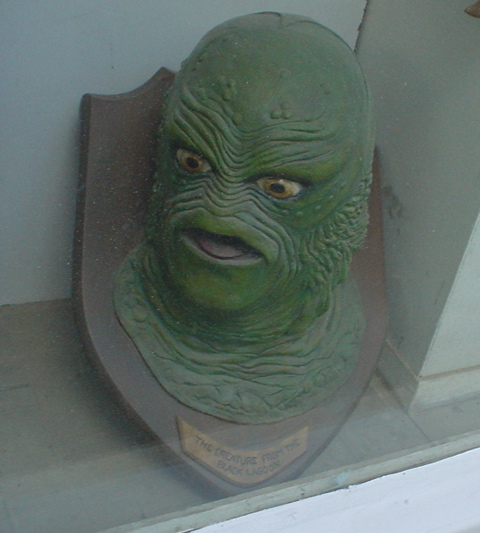 DSC03504.JPG