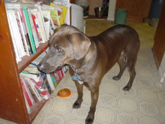 DSC03415.JPG