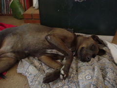 DSC03432.JPG