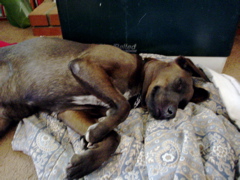 DSC03433.JPG