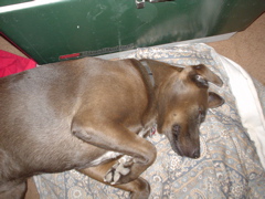 DSC03435.JPG