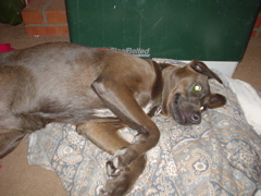 DSC03436.JPG