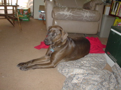 DSC03437.JPG
