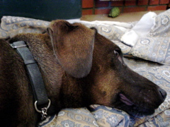 DSC03441.JPG