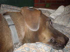 DSC03442.JPG