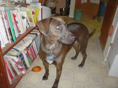 DSC03416.JPG