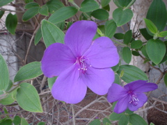DSC03445.JPG