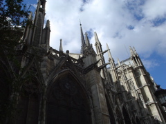 DSC03450.JPG