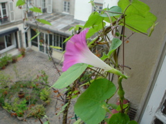 DSC03459.JPG