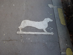 DSC03495.JPG